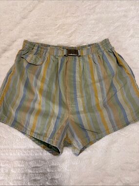 Men's Striped Swim Trunks in Green, Blue, and Tan